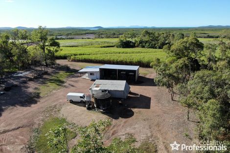 472 Surprise Creek Rd, Mount Ossa, QLD 4741
