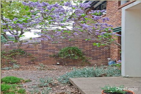 Property photo of 46 Goodwin Street Lyneham ACT 2602