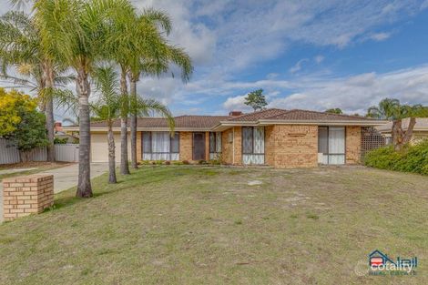 10 Abernethy Gr, Seville Grove, WA 6112