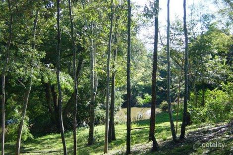 Property photo of 647 Markwell Back Road Markwell NSW 2423