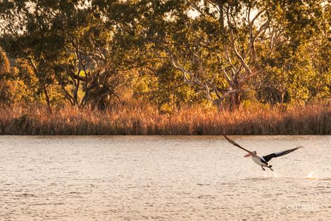 Property photo of 6 Aurora View Long Flat SA 5253