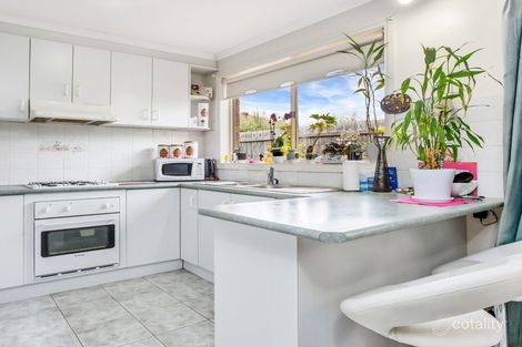 Property photo of 3/6 Downs Street Pascoe Vale VIC 3044