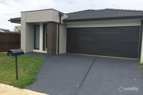 19 Jobbins St, North Geelong, VIC 3215