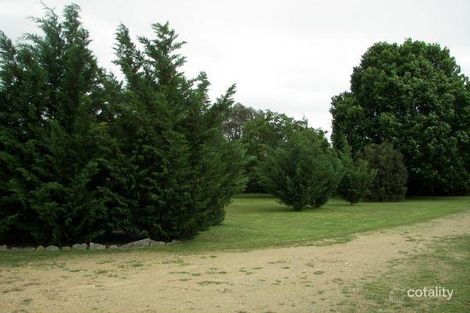 Property photo of 16 Wallinga Road Invergowrie NSW 2350