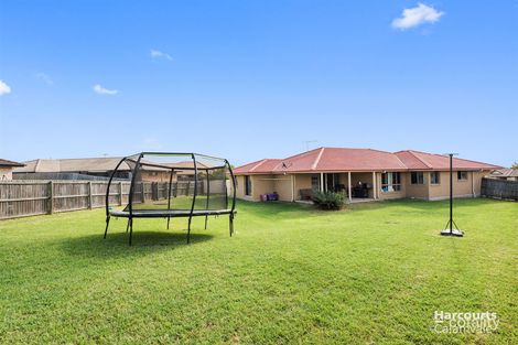 Property photo of 26 Wattle Crescent Raceview QLD 4305