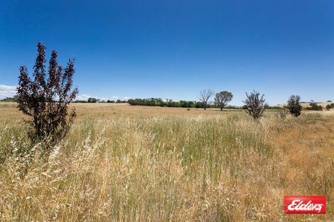 Property photo of 16 Rochford Road Wallaroo NSW 2618