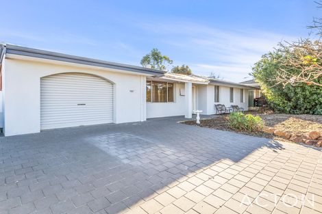 Property photo of 102 Dampier Avenue Mullaloo WA 6027