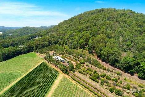 Property photo of 215 Yandina Cooloolabin Road Cooloolabin QLD 4560