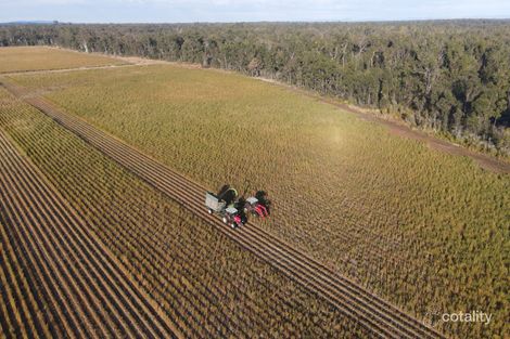 1080 Neileys Lagoon Rd, West Bungawalbin, NSW 2471