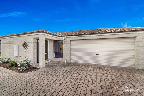 Property photo of 47B Harrison Street Balcatta WA 6021