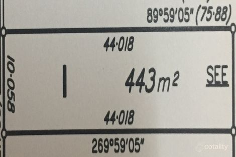 Property photo of 21 Blackbean Street Marsden QLD 4132