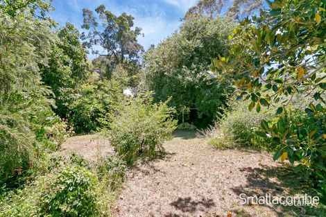 Property photo of 1 Abbotshall Road Hawthorn SA 5062