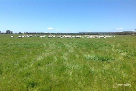 45 Diffeys Rd, Lilliput, VIC 3682