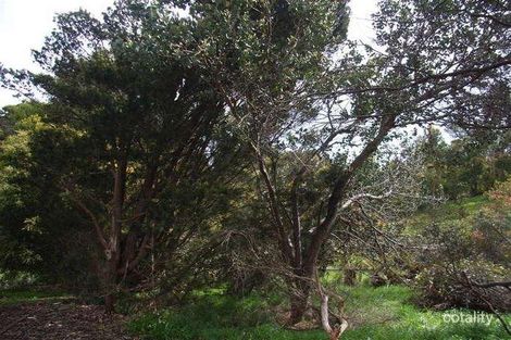 65 Deviation Rd, Penguin, TAS 7316