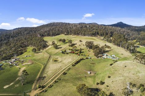 20 Garth Lane, Black Hills, TAS 7140