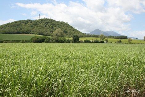 22 Pine Creek Yarrabah Rd, Green Hill, QLD 4865