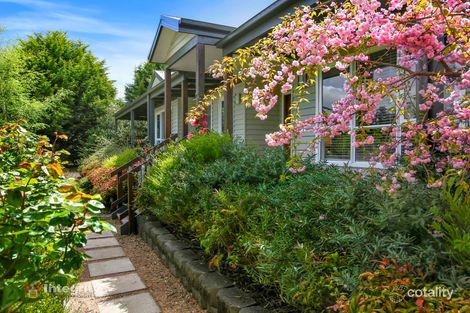 Property photo of 6 Hawkins Drive Kinglake VIC 3763