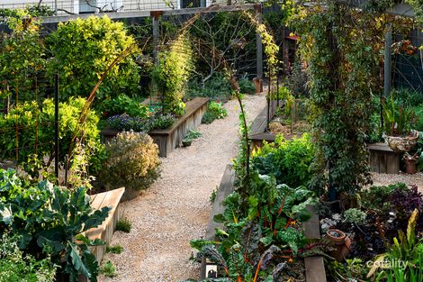 Property photo of 151 Munro Street Coburg VIC 3058