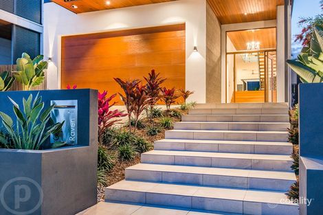 Property photo of 31 Raven Street Camp Hill QLD 4152