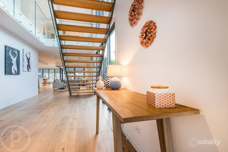 Property photo of 31 Raven Street Camp Hill QLD 4152