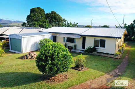 Property photo of 14 First Avenue Atherton QLD 4883