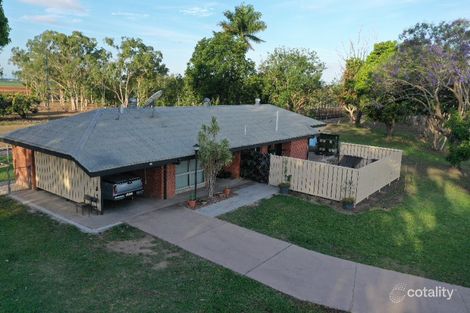Property photo of 126 Giddy Road McDesme QLD 4807
