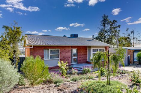 20 Hayward Tce, Loxton, SA 5333