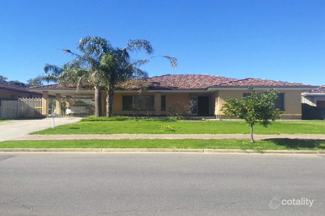 Property photo of 7 Flinders Parade Newton SA 5074