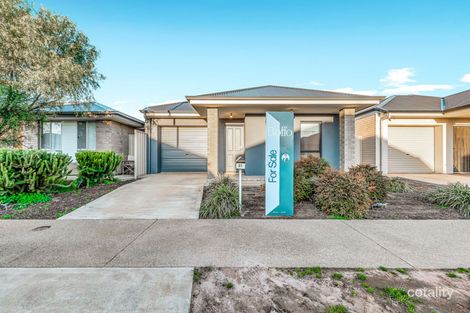 31 Kerrie Ave, Munno Para West, SA 5115