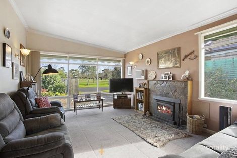 Property photo of 54 Heytesbury Street Herne Hill VIC 3218