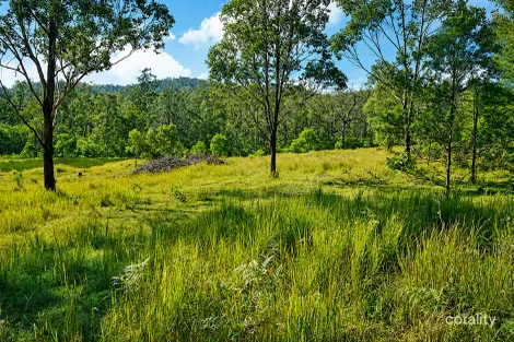 Property photo of 97 Long Gully Road Drake NSW 2469