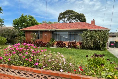 53 Paringa Ave, Somerton Park, SA 5044