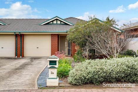 Property photo of 3A Bailey Street St Marys SA 5042