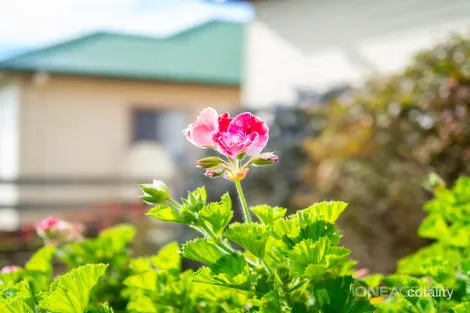 Property photo of 5 Payne Street Hillcrest TAS 7320
