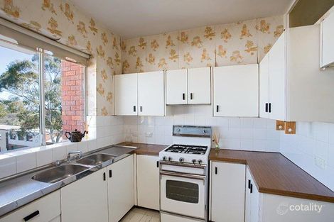 Property photo of 7/19 Pine Street Randwick NSW 2031