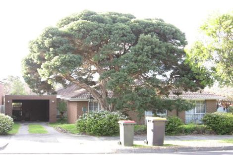 Property photo of 19 Fairhills Parade Glen Waverley VIC 3150