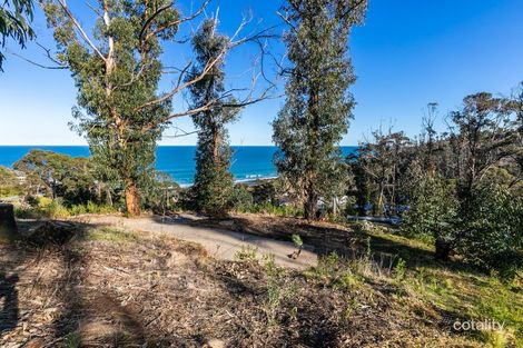 16 Bass Ave, Separation Creek, VIC 3234