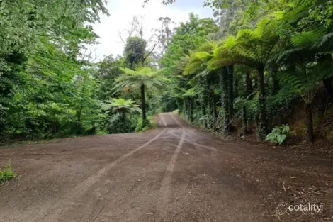 Property photo of 203-205 Olinda-Monbulk Road Monbulk VIC 3793