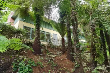 Property photo of 203-205 Olinda-Monbulk Road Monbulk VIC 3793