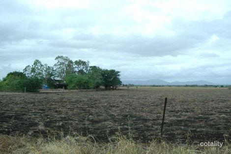 139 Pandora Rd, Alton Downs, QLD 4702