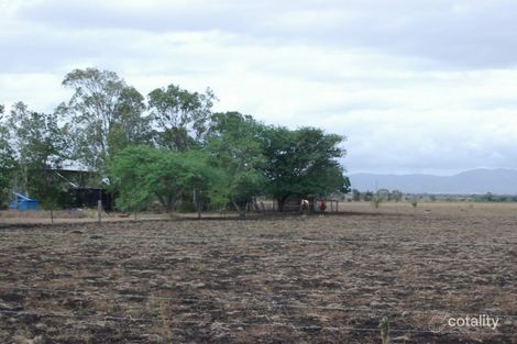 Property photo of 139 Pandora Road Alton Downs QLD 4702