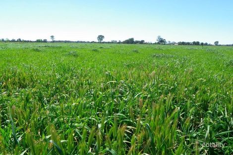 Property photo of 259 Kokoda Road Yarroweyah VIC 3644