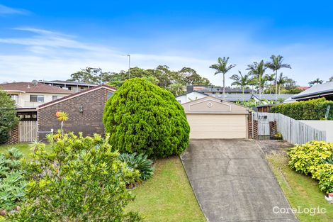 Property photo of 4 Conebush Street Ashmore QLD 4214