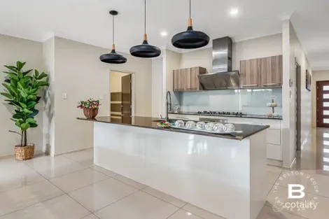 Property photo of 7 Kangaroo Crescent Springfield Lakes QLD 4300