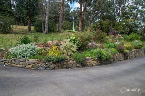 Property photo of 10 Maple Avenue Belgrave VIC 3160