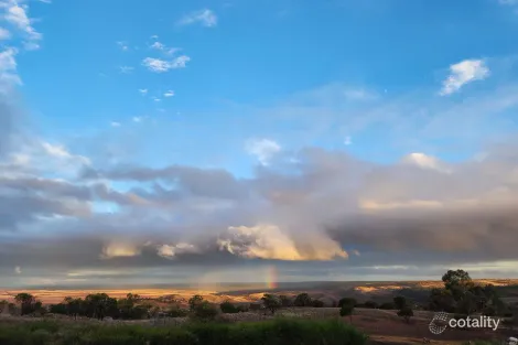 Property photo of 1478 Randell Road Palmer SA 5237