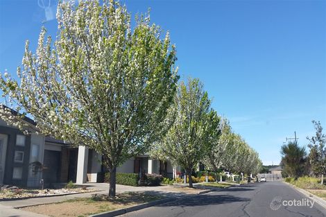 Property photo of 4 Catani Lane Curlewis VIC 3222