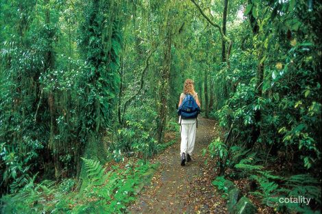 Property photo of 724 Tomewin Mountain Road Currumbin Valley QLD 4223