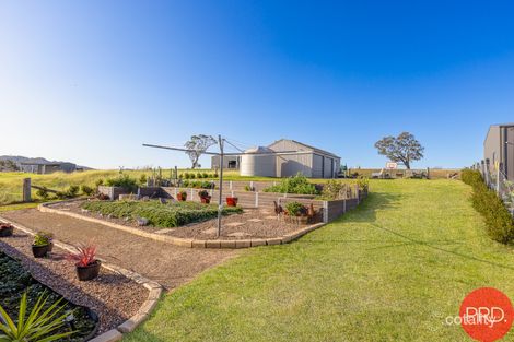Property photo of 38 Plover Circuit Aberglasslyn NSW 2320