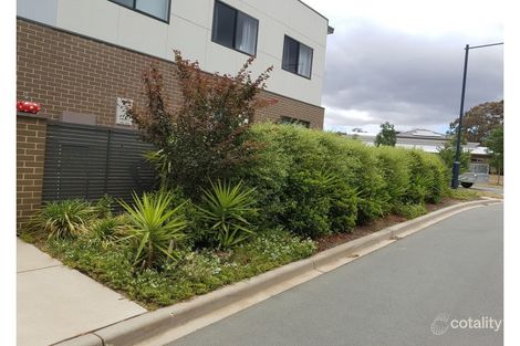 Property photo of 44 Hibberd Crescent Forde ACT 2914